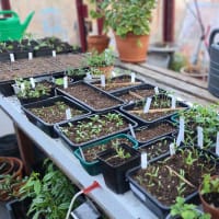 Sålåda mini med hål