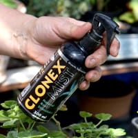 Clonex Mist för sticklingar