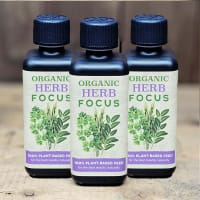 Örtnäring Organic Herb Focus, 300 ml