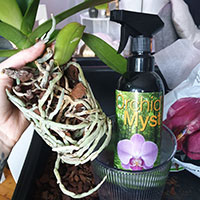 Spraynäring för ordkidéer - Orchid Myst