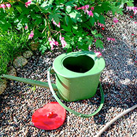 Towa vattenkanna för guldvatten