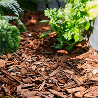 Nötbrun flis för dekoration i trädgården