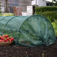 Odlingstunnel med nät för odling av grönsaker