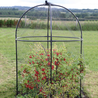 Rund Odlingsbur Round Fruit Cage
