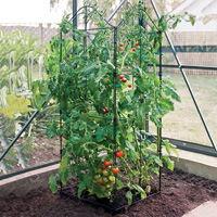 Tredelat, vikbart växtstöd