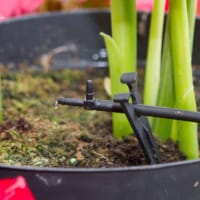 Droppmunstycke med stoppfunktion