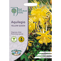 Frö till Guldakleja 'Yellow Queen', Aquilegia chrysantha