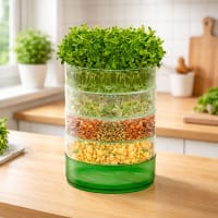 Groddbox för groddning i olika nivåer