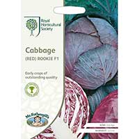 Rödkål 'Rookie' F1