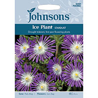 Frö till Vitögd frövisare 'Stardust', Delosperma floribundum