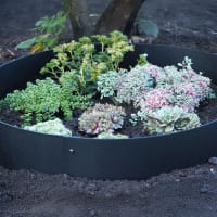 Planteringskant i svart 120 mm cirkel 560 mm