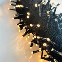 Ljusslinga Twinky på staket