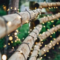 Ljusslinga Twinky på staket