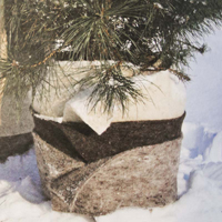 Vinterskydd band i fårull