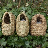 Övervnattningsskydd och bo för småfåglar