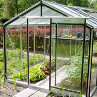 Hobbyväxthus Expert Plus 6,91 kvm lackerat