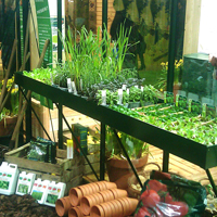 Såbord med kant för montering i växthus, lackat