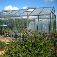 Odlingsväxthus Prestige Action 22,5 kvm