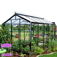 Glasväxthus Blackline 8,6 i svart
