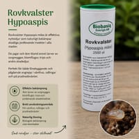 Rovkvalster Hypoaspis, 10 kvm
