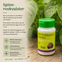 Spinnrovkvalster mot spinnkvalster