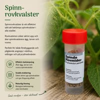 Spinnrovkvalster mot spinnkvalster