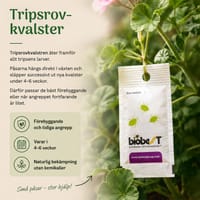 tripsrovkvalster 