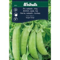Salladsärt 'Sugar Snap'
