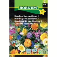 Sommarblomster mix