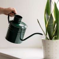 Vattenkanna Forest Green 2 L