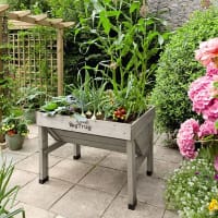 VegTrug Classic Small, askgrå