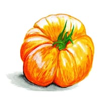 Bifftomat 'Plan 9 from Outer Space'