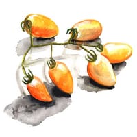 Frö till Dwarftomat 'Banana Toes'