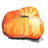 Frö till Dwarftomat 'Confetti'