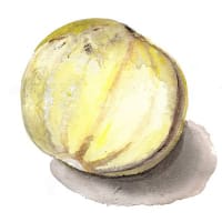 Melon 'Billeberga'