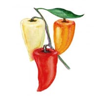 Paprika 'Ferenc Tender'