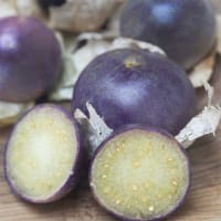 Tomatillo 'Purple de Milpa'