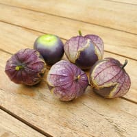 Lila tomatillo