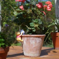 Krukdekoration Nalle puh med honung