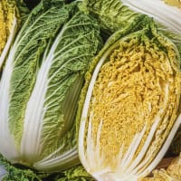 Salladskål 'Nigel' F1