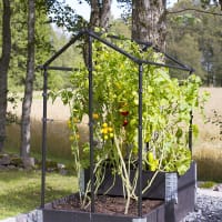 Stomme till Drivhus DeLux