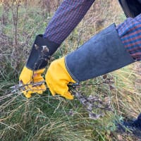 Läderhandskar Luxe, herr