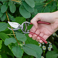 Tvåskärssekatör, Garden Life, 10 mm