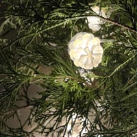 Ljusslinga Pine - LED Garden Plug & Play