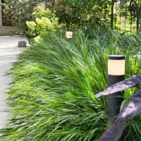 Polly - LED Garden Plug & Play