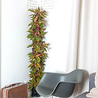 Växtvägg i sovrummet Minigarden Corner Column