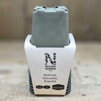 Biokruka 8 cm, grön, 15-pack.