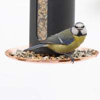 Föda till småfåglar