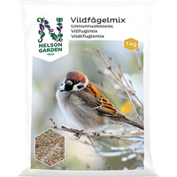 Föda till småfåglar