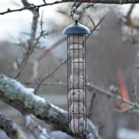 Fågelmatare för talgbollar